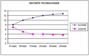Maturité Technologique Va Happy